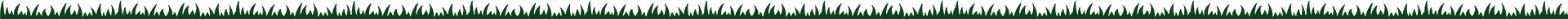 Grass Image